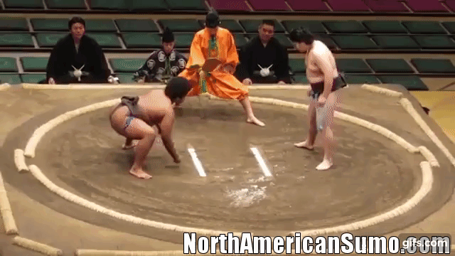 Wakaichiro Hatsu Basho 2017 - Match 1