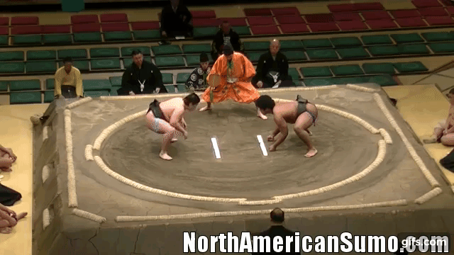 Wakaichiro Hatsu Basho 2017 - Match 2