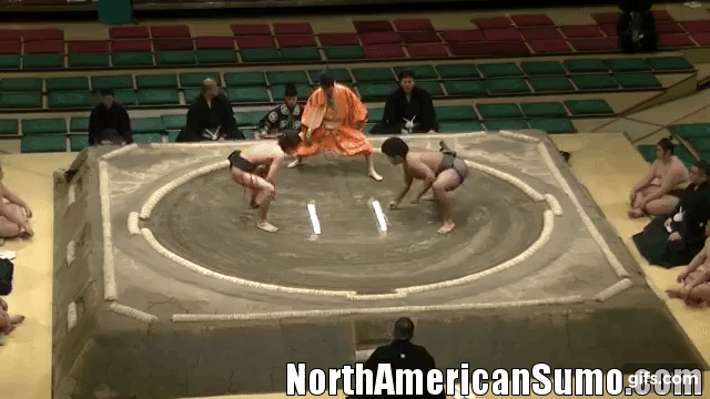 Wakaichiro Hatsu Basho 2017 - Match 3