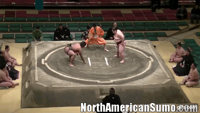 Wakaichiro Hatsu Basho 2017 - Match 4