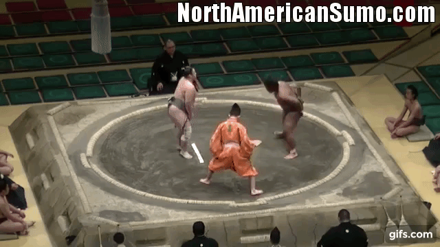 Wakaichiro Hatsu Basho 2017 - Match 6