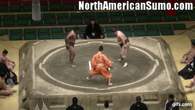 Wakaichiro Hatsu Basho 2017 - Match 7