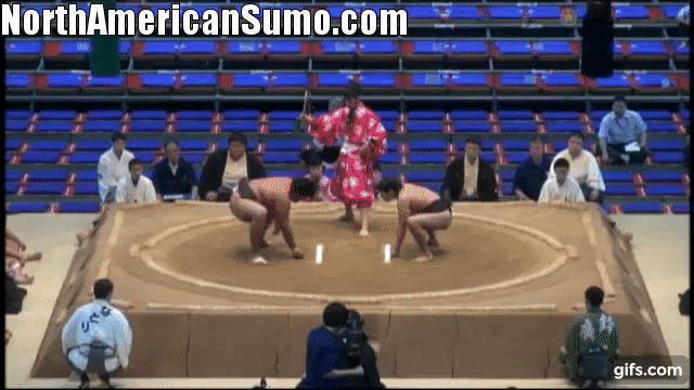 Musashikuni Nagoya Basho 2013 Match 5