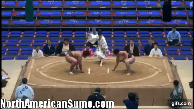 Musashikuni Nagoya Basho 2013 Match 6