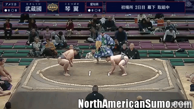 musashikuni mamu hatsu basho 2019 - match 1