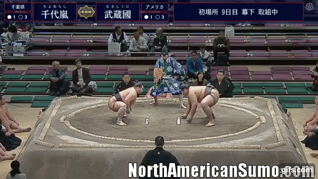 musashikuni mamu hatsu basho 2019 - match 5