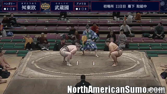 musashikuni mamu hatsu basho 2019 - match 6