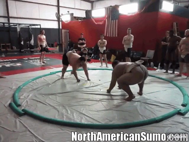 new orleans sumo camp - video 7