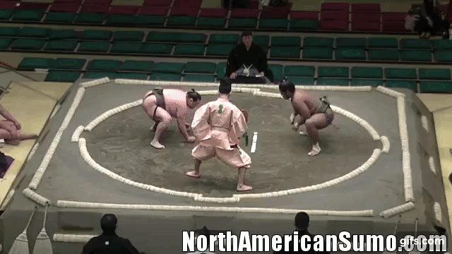 wakaichiro ken hatsu basho 2019 - match 1