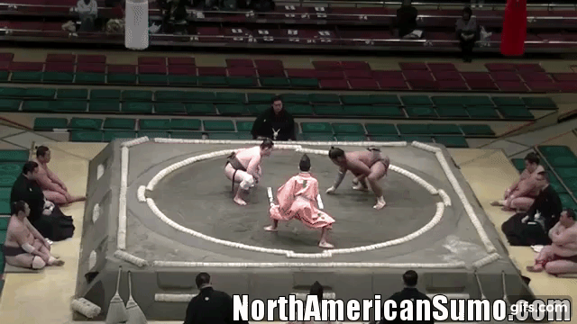 wakaichiro ken hatsu basho 2019 - match 2