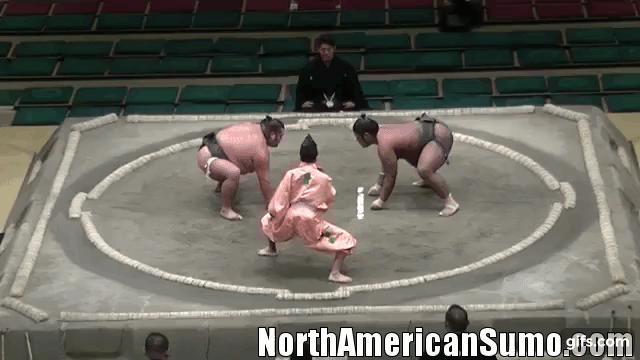 wakaichiro ken hatsu basho 2019 - match 4