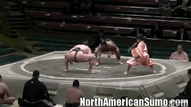 wakaichiro ken hatsu basho 2019 - match 5