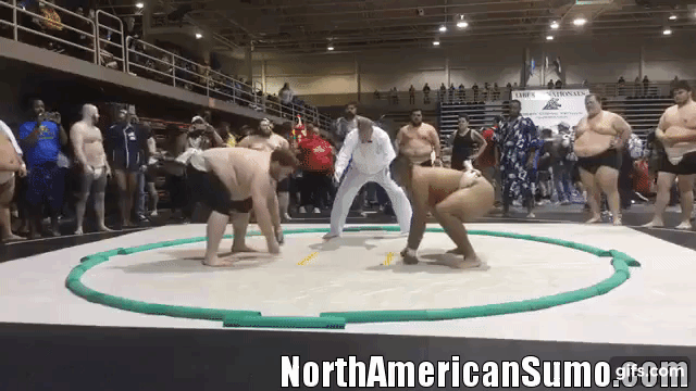 Daniel Avila vs Nick Levenger - US Sumo Nationals 2019 - Heavyweight