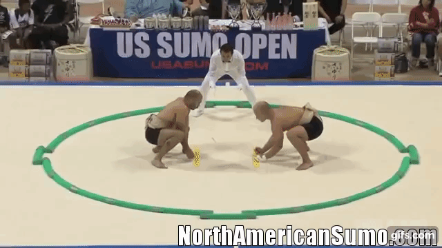Ed Suczewski vs Sebastian Videla - 2014 US Sumo Open