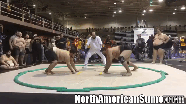 Roy Sims vs Robert Fuimoano 2 - US Sumo Nationals 2019 - Heavyweight