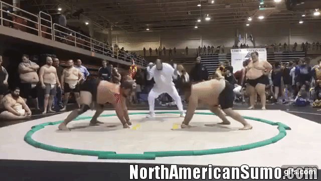 Roy Sims vs Robert Fuimoano 3 - US Sumo Nationals 2019 - Heavyweight.gif