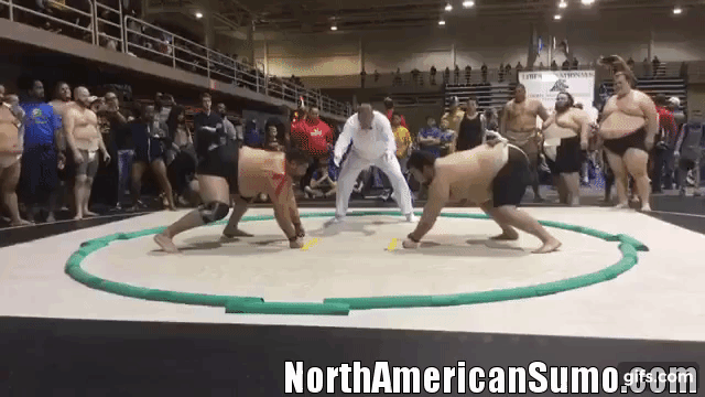Roy Sims vs Robert Fuimaono - US Sumo Nationals 2019 - Heavyweight