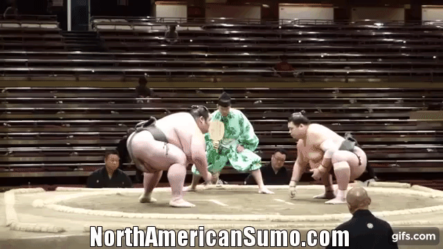 Hiroki Sumi vs Kenho - Natsu Basho 2015