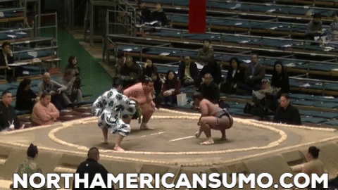 Wakaichiro Ken Match 3 - Haru Basho 2019