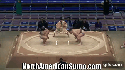 Musashikuni vs Komatsukasa - Kyushu Basho 2013 Match 3