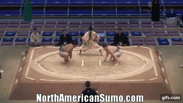 Musashikuni vs Sharinoumi - Kyushu Basho 2013 Match 2