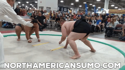 Darius vs Matt Anderson - Fitcon2019 Sumo Cup