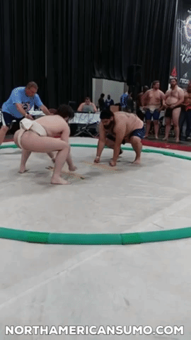 Gabe Unick vs George Ferris- Fitcon2019 Sumo Cup