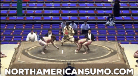 Brodi Henderson Nagoya Basho 2015 - Match 3