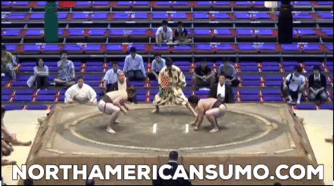 Brodi Henderson Nagoya Basho 2015 - Match 4