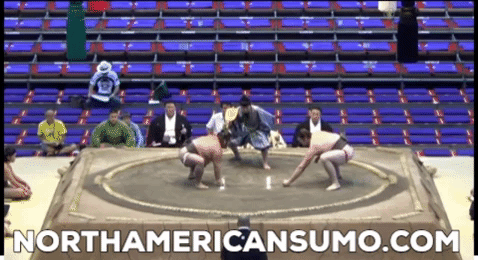 Brodi Henderson Nagoya Basho 2015 - Match 5