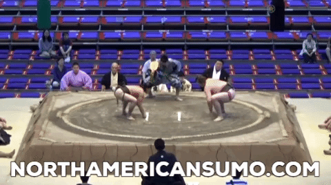 Brodi Henderson Nagoya Basho 2015 - Match 7