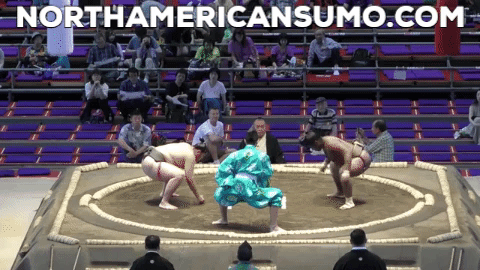 Wakaichiro Match 1 - Nagoya Basho 2019