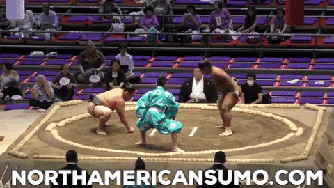 Wakaichiro Match 2 - Nagoya Basho 2019