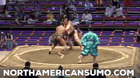 Wakaichiro Match 4 - Nagoya Basho 2019