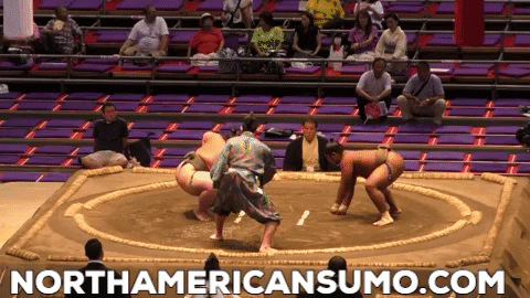 Wakaichiro Match 5 - Nagoya Basho 2019