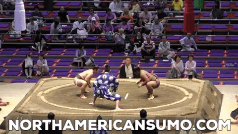 Wakaichiro Match 7 - Nagoya Basho 2019