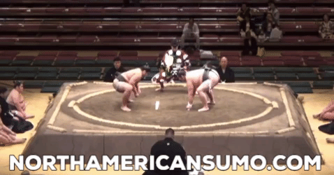 Musashikuni Natsu Basho 2014 - Match 2