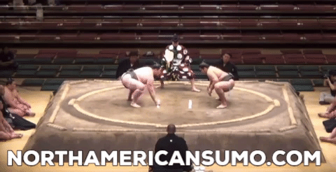 Musashikuni Natsu Basho 2014 - Match 5