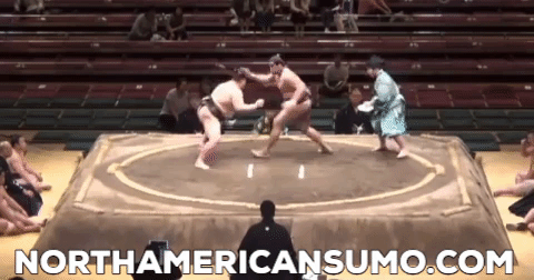 Musashikuni Natsu Basho 2014 - Match 7