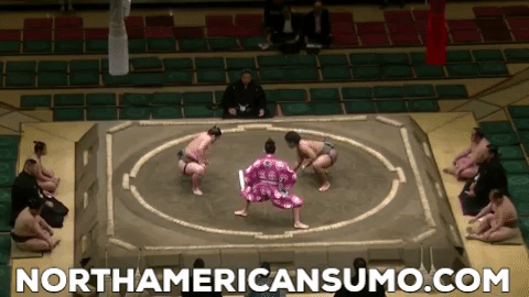 Wakaichiro Natsu Basho 2017 - Match 2