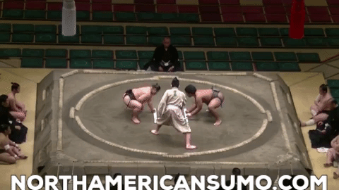 Wakaichiro Natsu Basho 2017 - Match 4