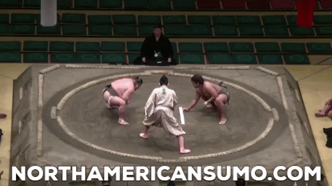 Wakaichiro Natsu Basho 2017 - Match 5