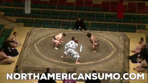 Wakaichiro Natsu Basho 2017 - Match 6