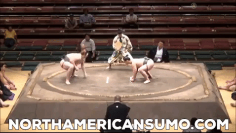Brodi Henderson Aki Basho 2015 - Match 5