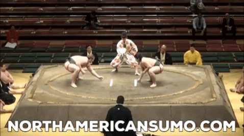 Brodi Henderson Aki Basho 2015 - Match 7