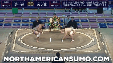 Kyushu Basho 2019 - Wakaichiro Match 1