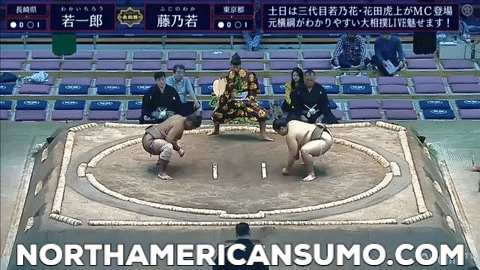 Kyushu Basho 2019 - Wakaichiro Match 2