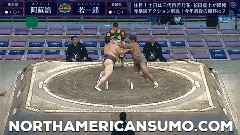 Kyushu Basho 2019 - Wakaichiro Match 3