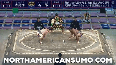 Kyushu Basho 2019 - Wakaichiro Match 4