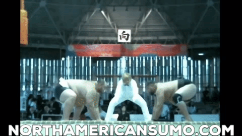 World Sumo Championships Team Match 3 - Roy Sims